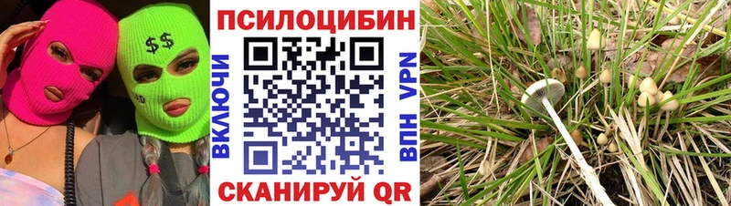 Псилоцибиновые грибы Cubensis  мега как зайти  Рудня 
